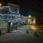 Předprodej na únor 2026